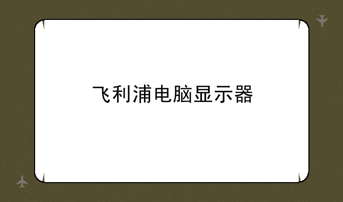 飞利浦电脑显示器