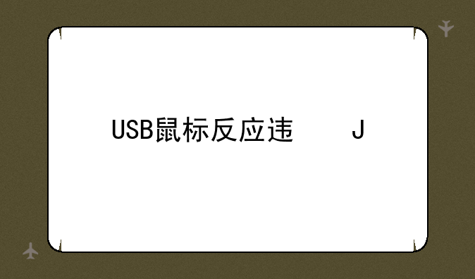 USB鼠标反应迟钝