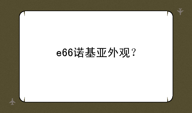 e66诺基亚外观？