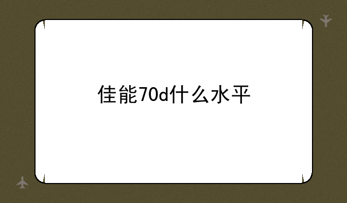 佳能70d什么水平