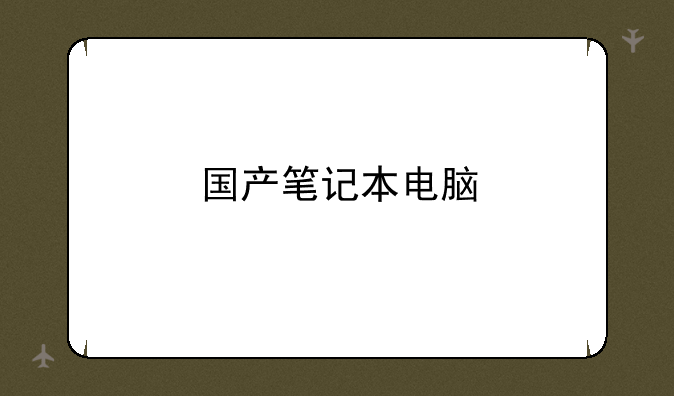 国产笔记本电脑