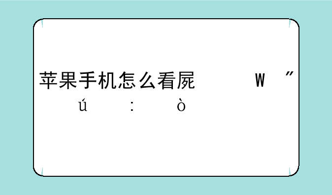 苹果手机怎么看屏幕分辨