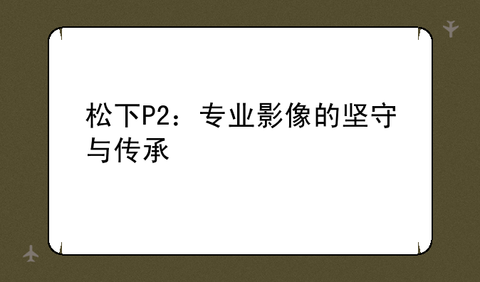 松下P2：专业影像的坚守与传承