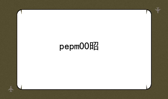pepm00是手机什么型号