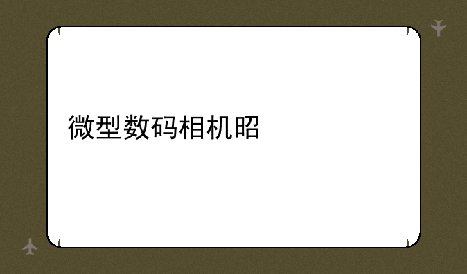 微型数码相机是什么