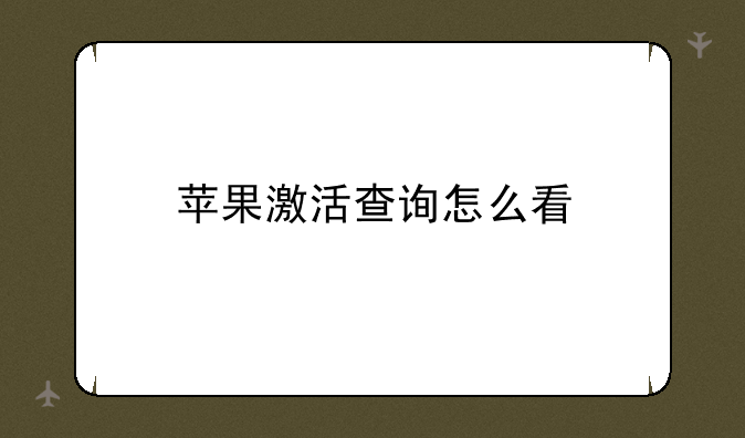 苹果激活查询怎么看