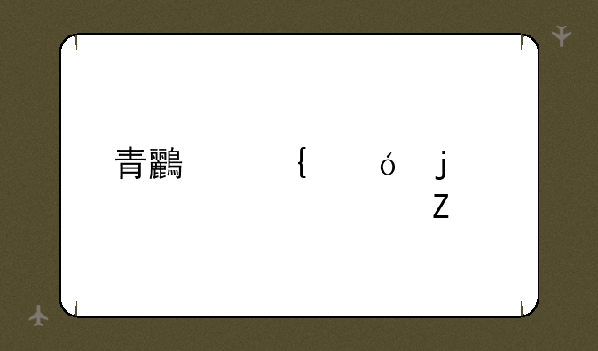 青鸟飞鱼的详细资料