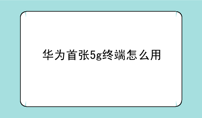 华为首张5g终端怎么用