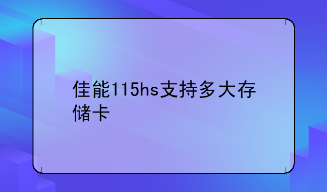 佳能115hs支持多大存储卡