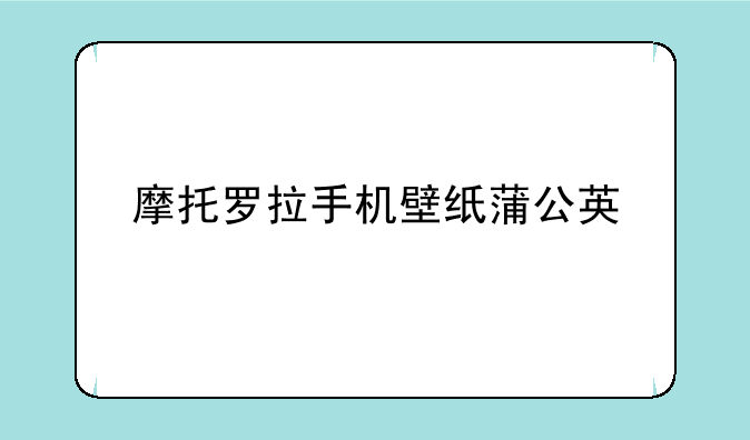 摩托罗拉手机壁纸蒲公英