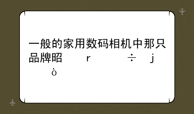 一般的家用数码相机中那只品牌是最好的？