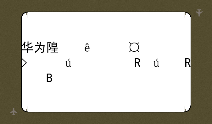 华为随身wifi2pro可以边充电边用吗