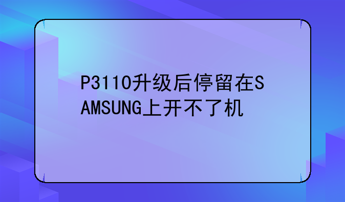 P3110升级后停留在SAMSUNG上开不了机