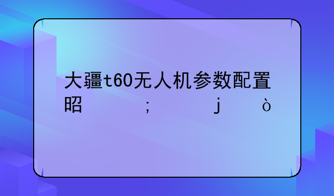 大疆t60无人机参数配置是