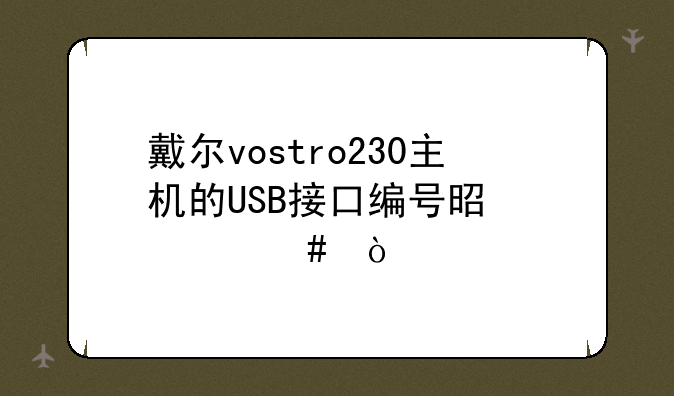 戴尔vostro230主机的USB接口编号是什么？