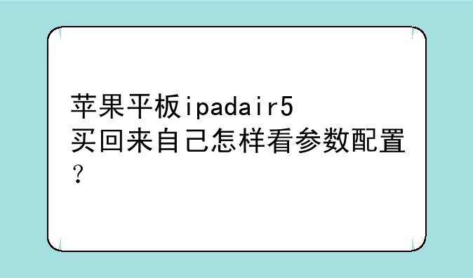 苹果平板ipadair5买回来自己怎样看参数配置？