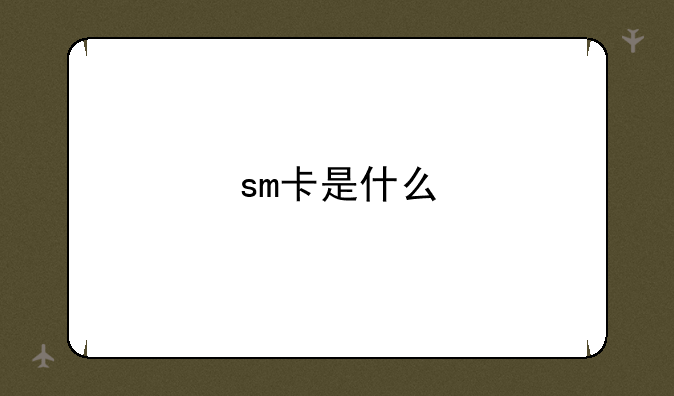 sm卡是什么
