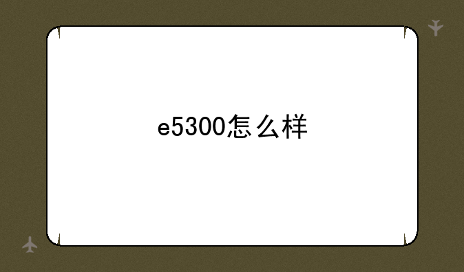 e5300怎么样