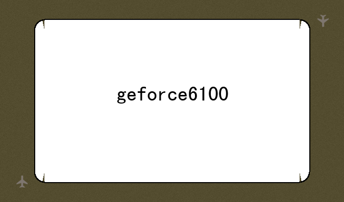 geforce6100