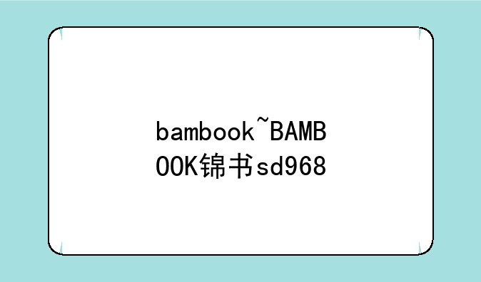 bambook~BAMBOOK锦书sd968