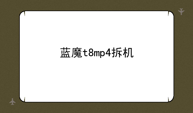 蓝魔t8mp4拆机