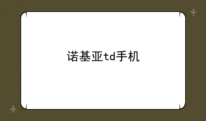 诺基亚td手机