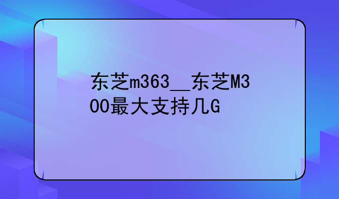 东芝m363__东芝M300最大支持几G