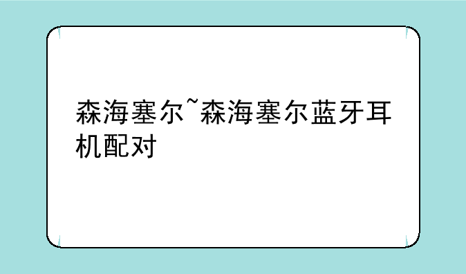 森海塞尔~森海塞尔蓝牙耳