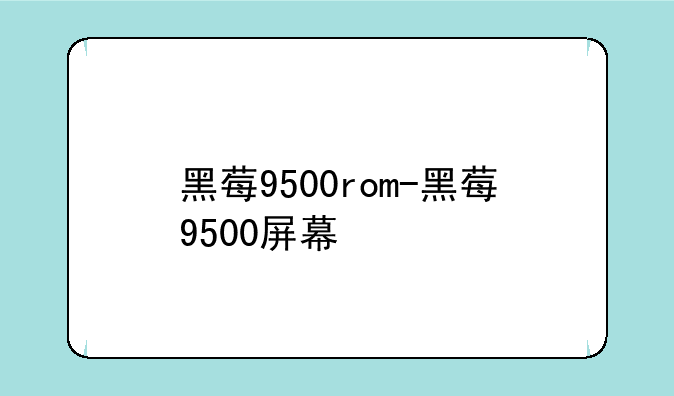 黑莓9500rom-黑莓9500屏幕