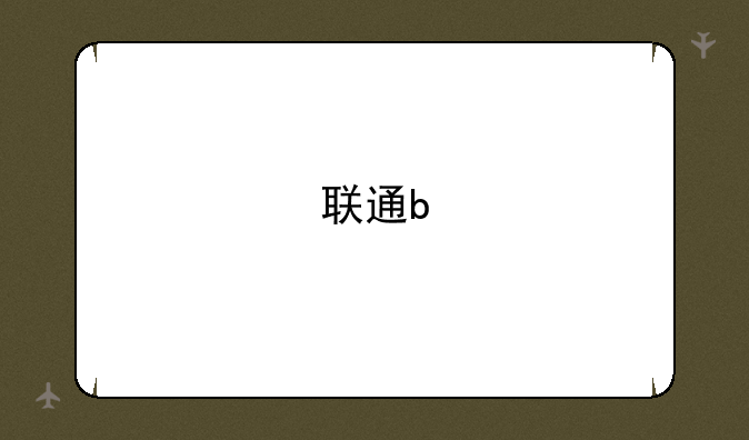联通b&#39;计划46元套餐