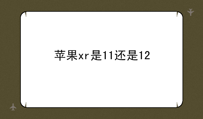 苹果xr是11还是12