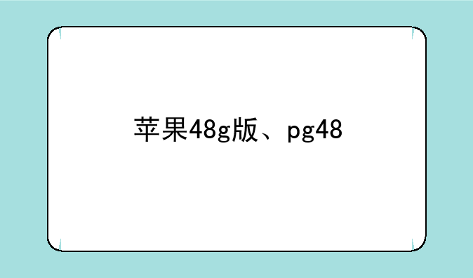 苹果48g版、pg48