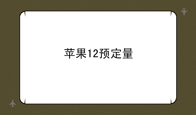 苹果12预定量