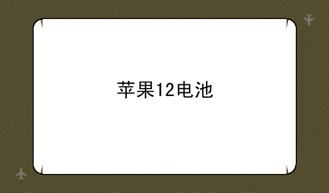 苹果12电池