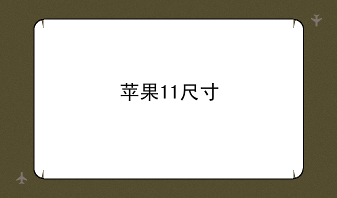 苹果11尺寸