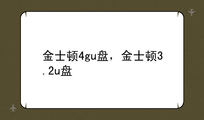 金士顿4gu盘，金士顿3.2u盘