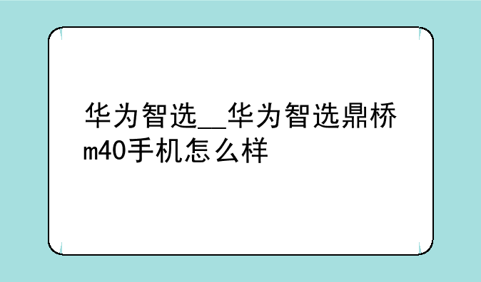 华为智选__华为智选鼎桥