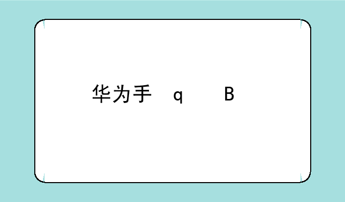 华为手环b2