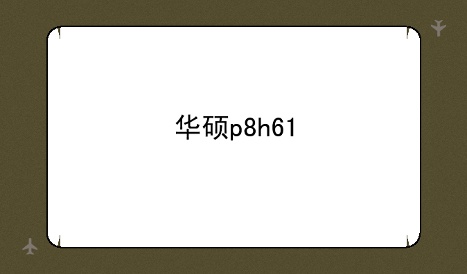 华硕p8h61